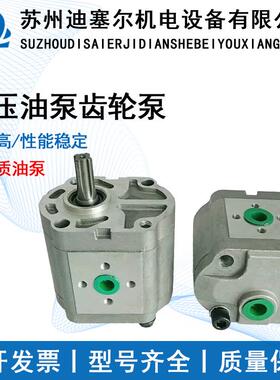 CBN-F310L F304L F306L F314L F316L F320L F325L F318液压齿轮泵