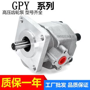 液压油泵高压齿轮泵总成小型泵头GPY-3R 4R 5.8R 8R 9R 10R 11.5R