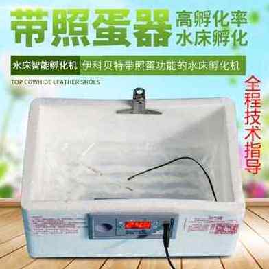 现货厂促新品厂销新品种器孵化机孵化蛋家用型鸡鸭鹅受精蛋J小型