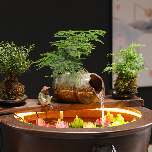 生态缸古法养鱼开缸套餐