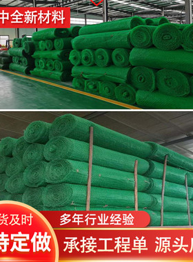 HDPE三维植被网厂家边坡固土喷播植草绿色土工网垫em3加筋三维网