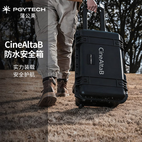 【可优惠】正品假一罚十蒲公英