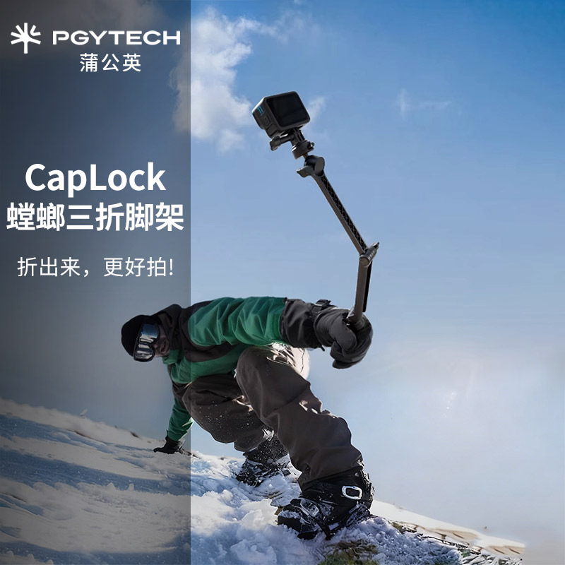 蒲公英官方正品顺丰发货假一罚十