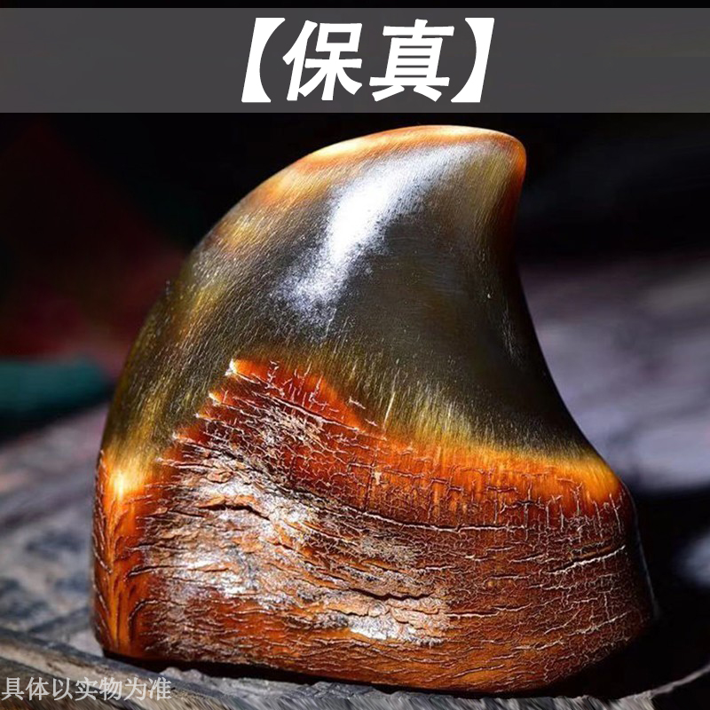 【保真】披毛犀整角装饰品小摆件珍贵收藏精美手把件角角