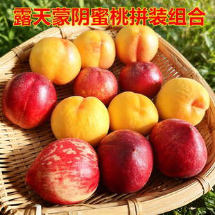 【4拼桃子组合】山东蒙阴露天蜜桃血丝蜜桃黄金蜜桃黄油桃净果5斤