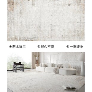 免洗可擦轻奢高级意式 地毯客厅2024新款 极简简约灰W色沙发茶几地