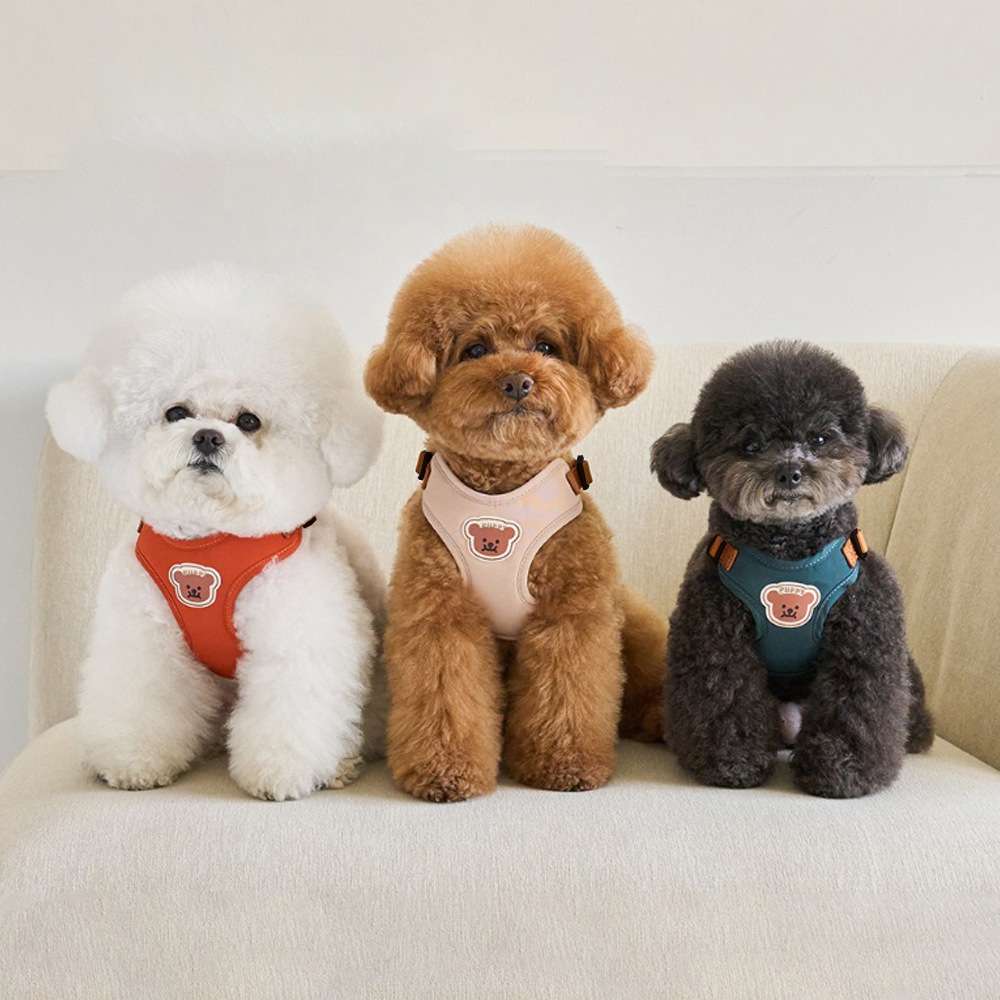 狗狗牵引绳背带式小型犬狗狗的牵引绳中型犬胸背带狗绳泰迪狗链