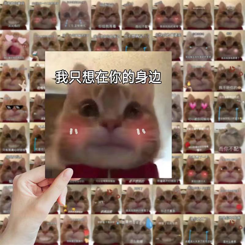 188张搞笑歪嘴小猫表情包贴纸沙雕装饰水杯笔记本手账贴纸