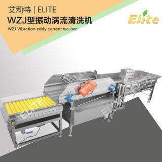 【清洗机】毛刷气泡震动LXJ型冲涡清洗机自动蔬全果清流洗浪式选