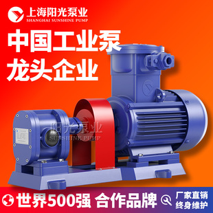 齿轮油泵 卧式 齿轮润滑泵多种材料 电动输油泵卧式 2CY齿轮式