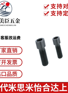 SBB3/4/5/6-8/KBBS10/12/16/20/25小径SBBSS内六角螺栓TBH13