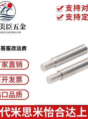 304平头型小径弹簧柱塞MPFLT/MPFHT1.5/2/3/4/5-1.5/3/4/6/8/9/12