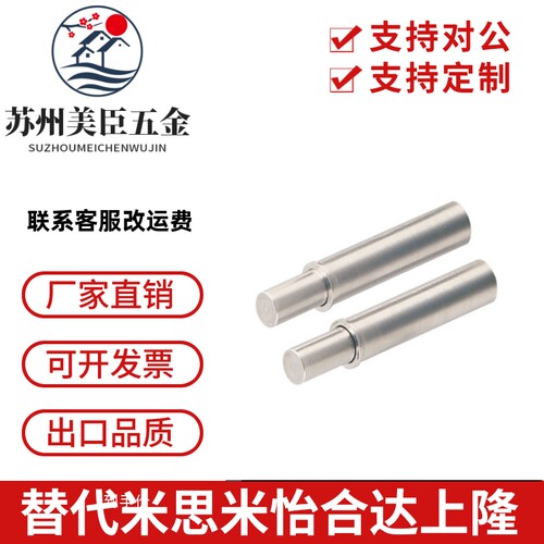 304平头型小径弹簧柱塞MPFLT/MPFHT1.5/2/3/4/5-1.5/3/4/6/8/9/12