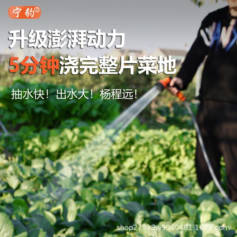 浇菜神器浇水机农用灌溉家用户外自动抽水机浇地懒人充电式抽水泵