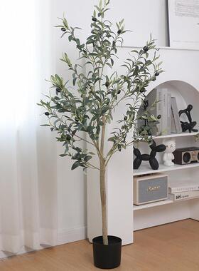 仿KMW真绿植带果橄榄真家落地盆栽摆放园林造树居景仿假橄榄树