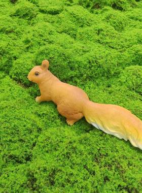 仿真YPO藓植毛苔网红绿色苔草皮花艺软装仿真大鼓包藓植毛青苔