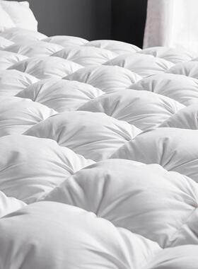 全棉羽绒被白鸭冬被端酒店被子高绒加厚OXN保家暖用被芯