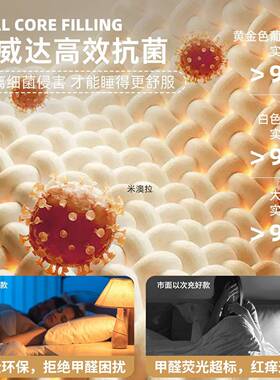 乳胶床新垫垫家用卧室海JER软绵垫子宿舍学用生单人床租房专榻榻