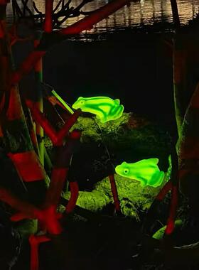太阳能青灯户外防蛙亮化装饰围景观农庄花园草坪水景氛观动VYS物