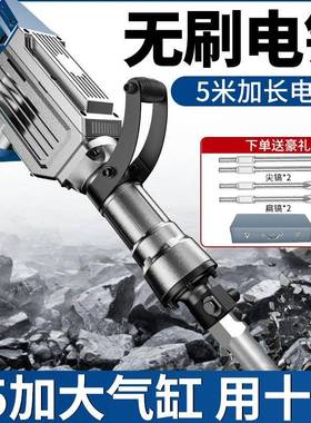 打土大功率凝工程单用电镐专业创一拆墙大重电镐型78116工业级大