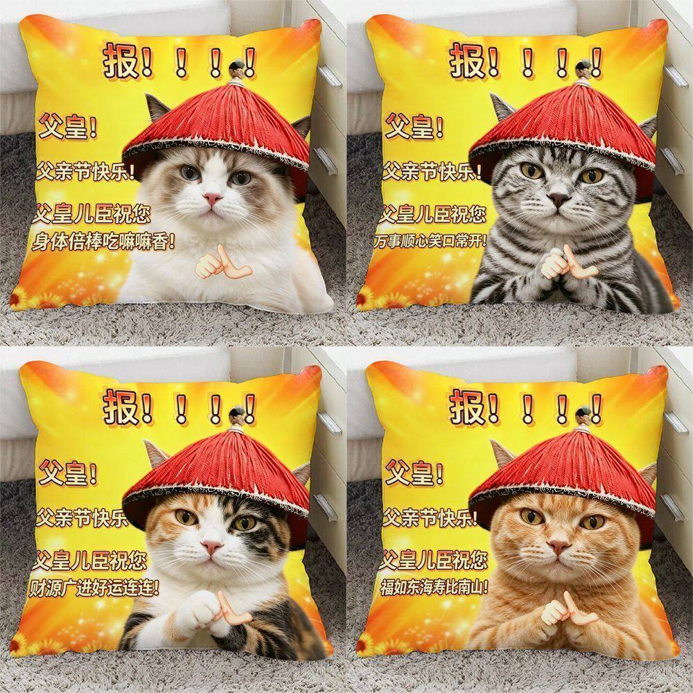 趣味父亲节礼物表情包抱枕猫猫祝父皇送爸爸生日礼物沙发枕套靠垫