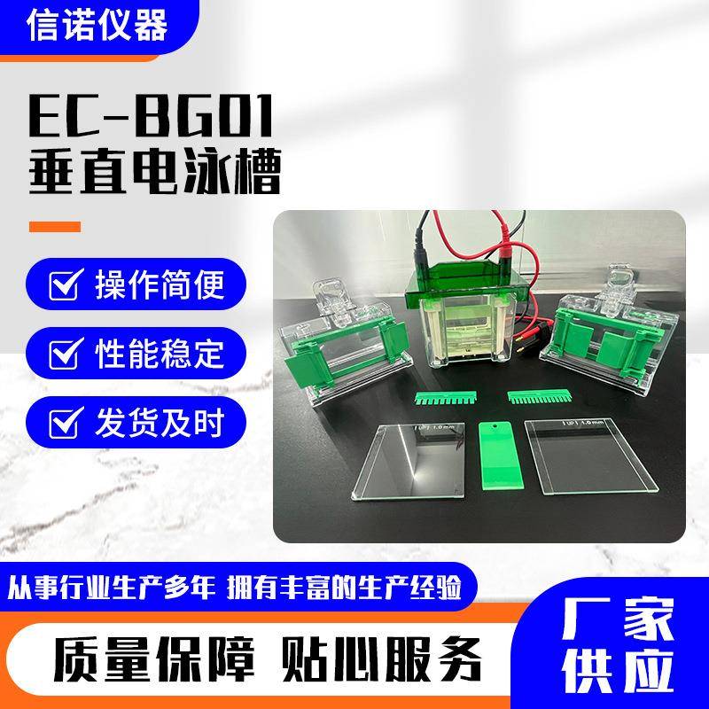 EC-BG01-垂直电泳槽通用电泳仪电源迷你垂直电泳仪玻璃