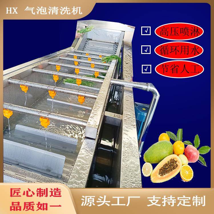 全自动商用蓝莓干高压气泡清洗机山楂清洗喷淋加工设备性价比高
