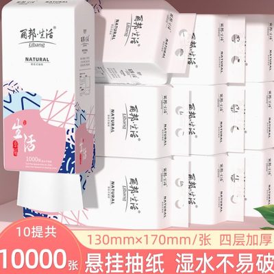 丽邦悬挂式抽纸10提整箱实惠装餐巾卫生纸抽挂式纸巾大包擦手家用
