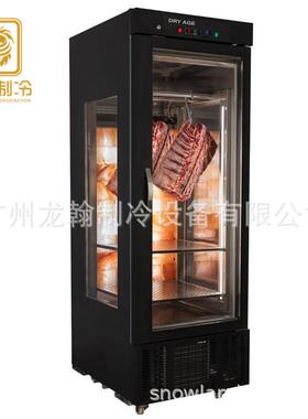 商用牛肉排酸柜 冷冻挂肉柜 猪肉排酸柜 火腿熟成柜meat dry ager
