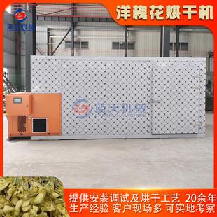 洋槐花烘干机 空气能热泵槐花烘干房 国槐槐米茶槐蕊烘干设备商用