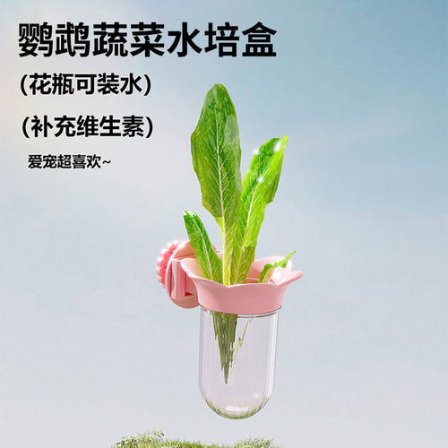 鹦鹉蔬菜水培一物多用玄凤牡丹喂食器喂水器蔬菜豆苗保鲜花插