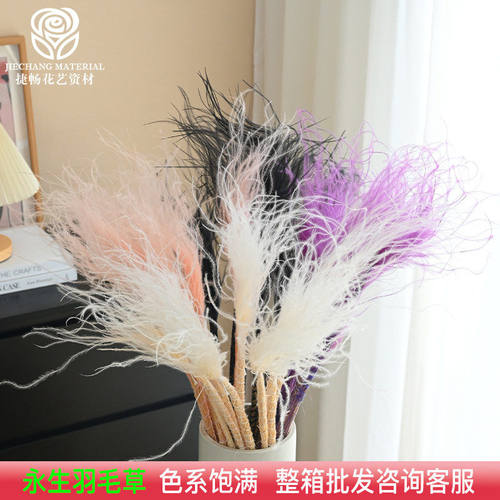 永生龙须草永生花家居装饰壁挂藤植物墙配材幻花永生花新品花材