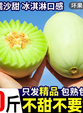 海南冰淇淋玉菇甜瓜新鲜10斤当季低脂孕妇水果玉菇翡翠香蜜甜瓜