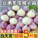 云南紫皮独头蒜10斤新鲜当季 圆头独蒜大蒜红皮新蒜干蒜头农家蔬菜
