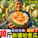 正宗新疆哈密瓜10斤新鲜水果网纹瓜蜜瓜冰淇淋香瓜西州蜜甜瓜整箱