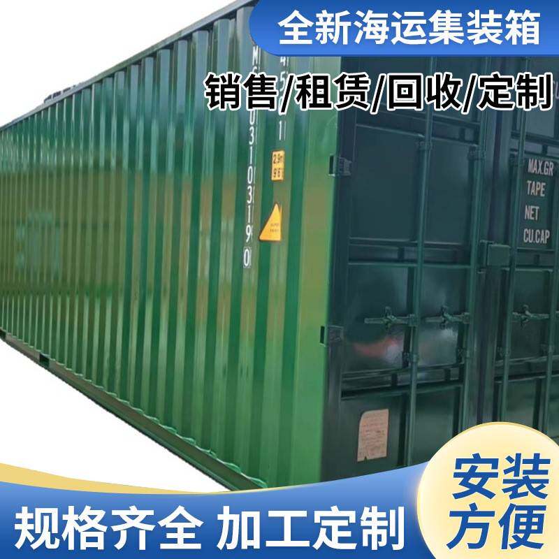 二手冷藏集装箱租赁出租6米12米海运冷库蔬菜水果保鲜库货柜