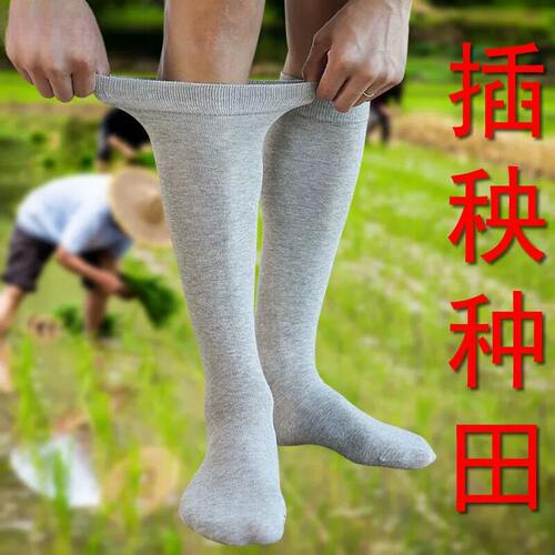 下田插秧袜子防蚂蟥防水