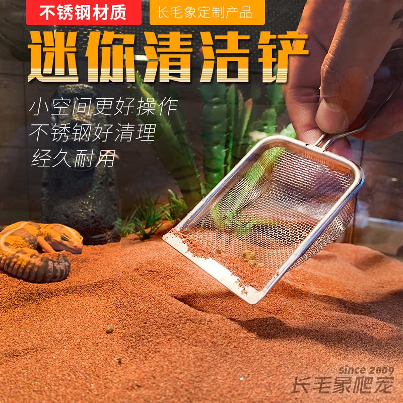 豹纹守宫肥尾瘤尾守宫鬃狮蜥蜴爬虫钙沙不锈钢漏沙铲迷你号大号