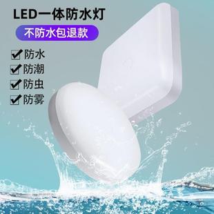 led防水防蚊虫吸顶灯卫生间浴室阳台防潮灯三防灯冷库灯护眼灯具