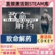 CDK 全DLC 国区可激活 致命解药 激活码 入库 cdk Steam游戏激活码