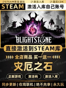 Steam正版【灾厄之石】国区CDKEY激活码全DLC激活入库CDK游戏PC