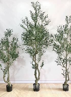 现货仿真绿植橄榄树盆栽北欧风客厅餐饮店落地仿真凤尾葵假树