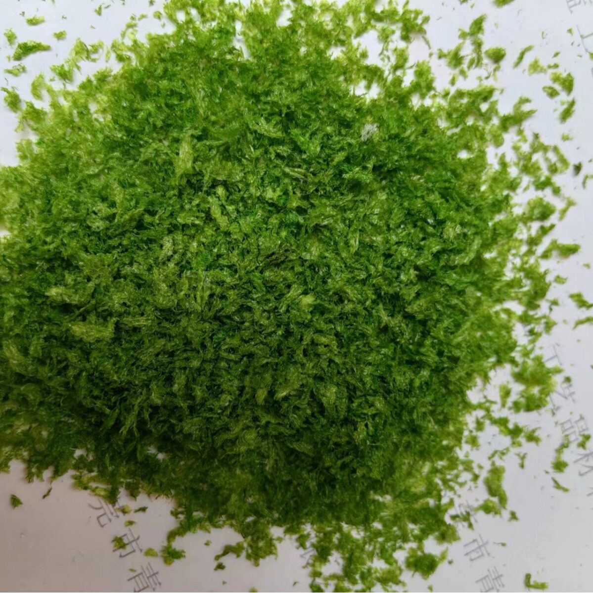 仿真葱花海苔粉葱碎面包糠捏捏材料包