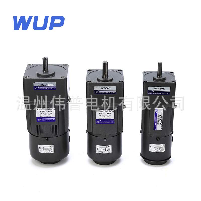 伟普微型调速减速电机交流220v减速低速电机m140-402 6IK140RGN-C