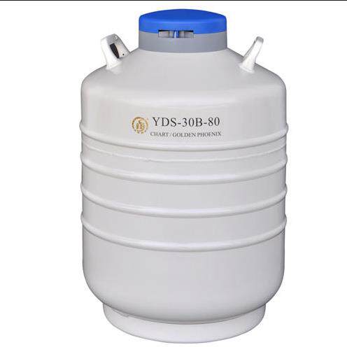 成都金凤YDS-30B-90运输型液氮罐含六个276MM高的提筒