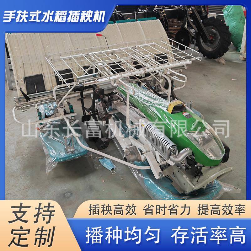 南方水稻秧苗栽植机曲柄摇杆式稻苗种植机手扶式水稻插秧机