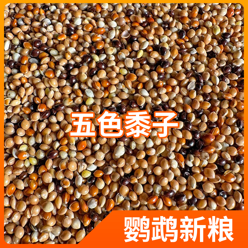 虎皮鹦鹉混合鸟食带壳