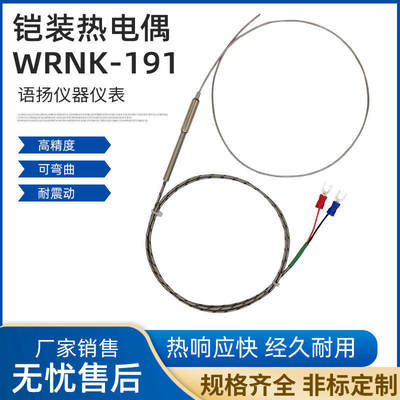 K型铠装热电偶WRNK-191电热偶针可弯曲Pt100/E/J/T温度传感器探头