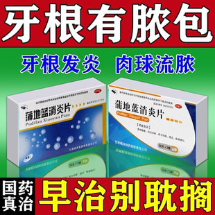 牙龈脓包肿包肿痛发炎起包流脓水消炎药去脓牙根尖炎牙周炎专用