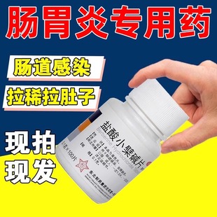 治疗急性慢性直肠胃炎的药拉肚子止泻药成人专用药盐酸小檗碱片